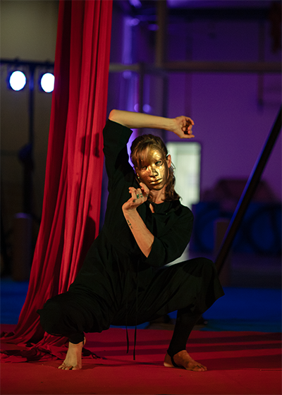 Spectacle danse aérienne Shaguar